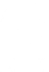 logo_vertical_iratibarnean_blanco